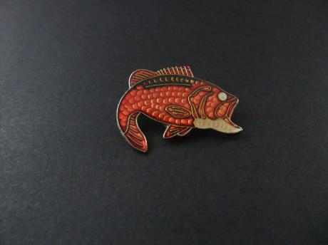 Forel zalmachtige vis ( rood )
